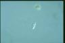 Chilomonas paramecium