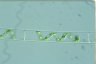 Spirogyra