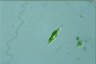 Euglena