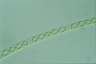 Spirogyra