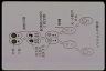 Paramecium caudatum, conjugation