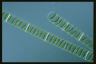 Spirogyra