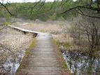 Karakemi marsh